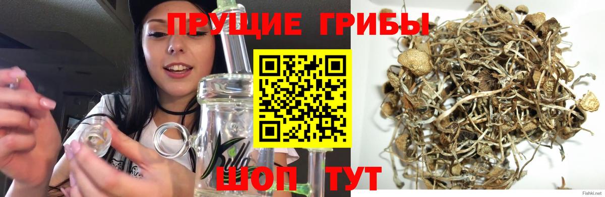 Галлюциногенные грибы MAGIC MUSHROOMS Стрежевой
