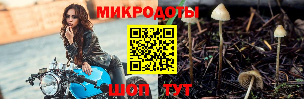 Стрежевой  Галлюциногенные грибы Psilocybe  Вход с VPN 
